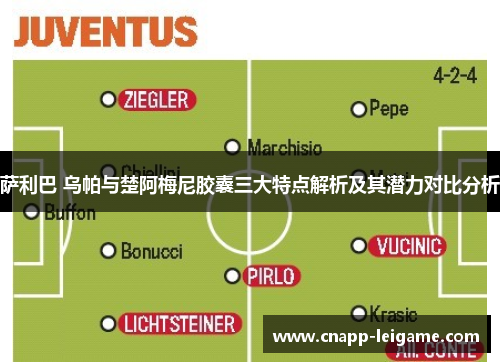 萨利巴 乌帕与楚阿梅尼胶囊三大特点解析及其潜力对比分析 萨利巴 乌帕与楚阿梅尼胶囊三大特点解析及其潜力对比分析