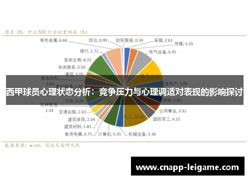 西甲球员心理状态分析:竞争压力与心理调适对表现的影响探讨 西甲球员心理状态分析:竞争压力与心理调适对表现的影响探讨
