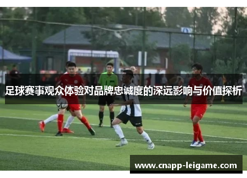 足球赛事观众体验对品牌忠诚度的深远影响与价值探析 足球赛事观众体验对品牌忠诚度的深远影响与价值探析