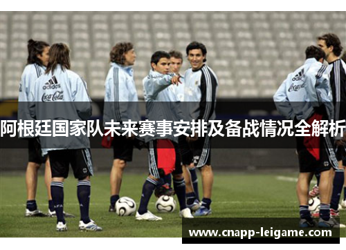 阿根廷国家队未来赛事安排及备战情况全解析 阿根廷国家队未来赛事安排及备战情况全解析
